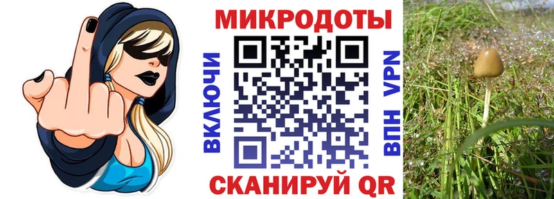 Галлюциногенные грибы Magic Shrooms  что такое наркотик  Шумиха 
